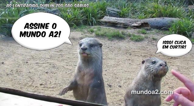 busca-voos-google